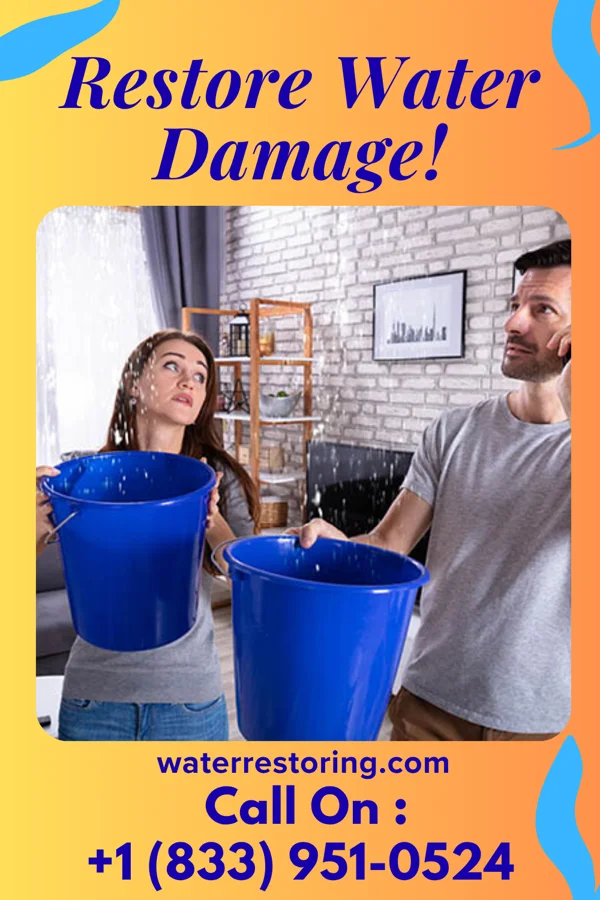 water restoration Empire Water Removal Authority Trappe
