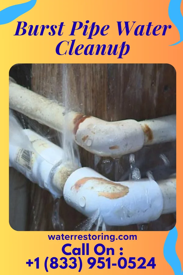 Burst Pipe Water Cleanup in Trappe, PA
