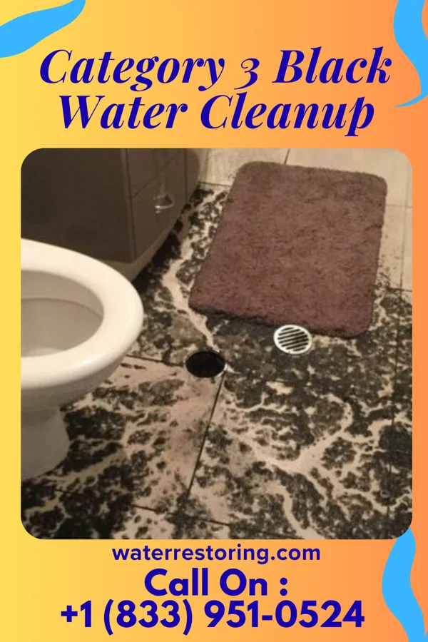 Category 3 Black Water Cleanup in Trappe, PA