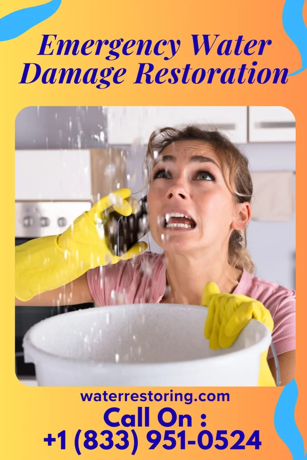 Emergency Water Damage Restoration in Trappe, PA