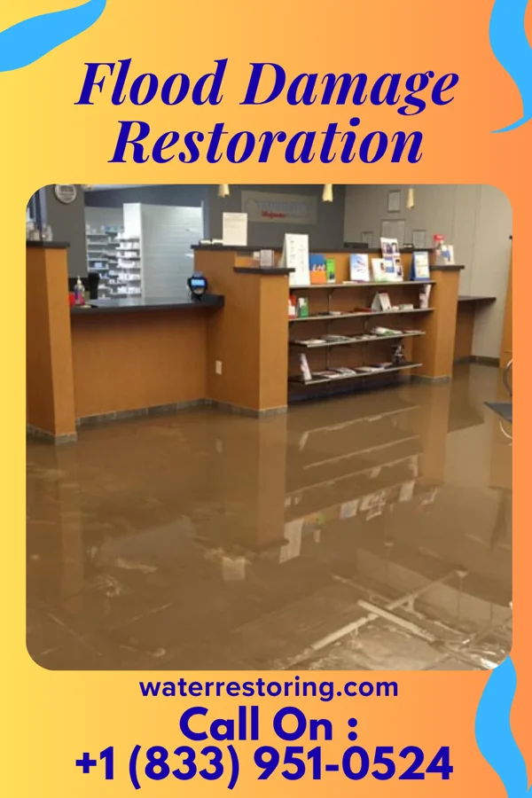 Flood Damage Restoration in Trappe, PA