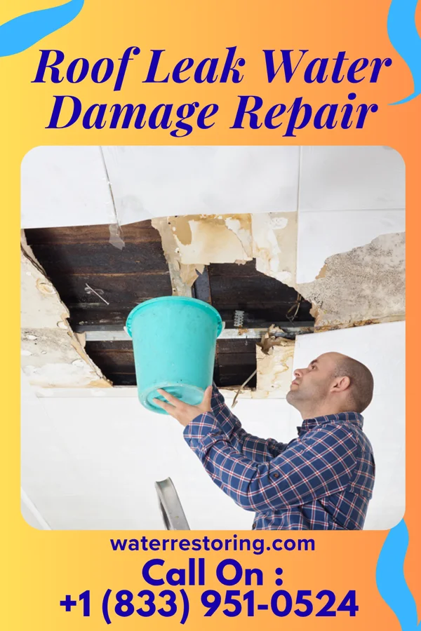 Roof Leak Water Damage Repair in Trappe, PA